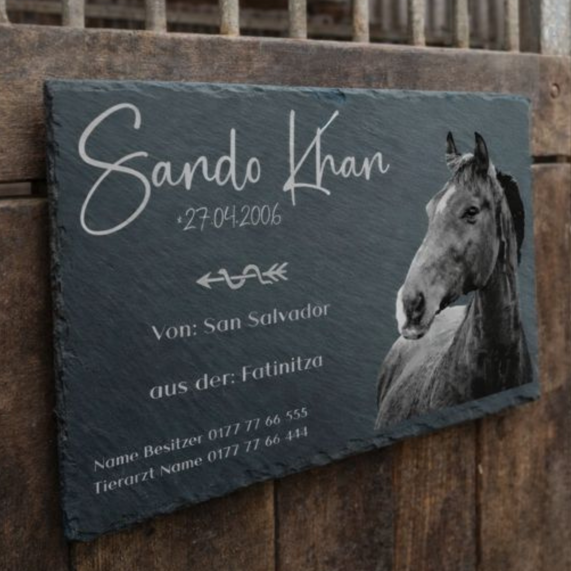 Boxentafel 30x20cm für Pferdestall mit Foto graviert auf Schiefer mit Herkunft
