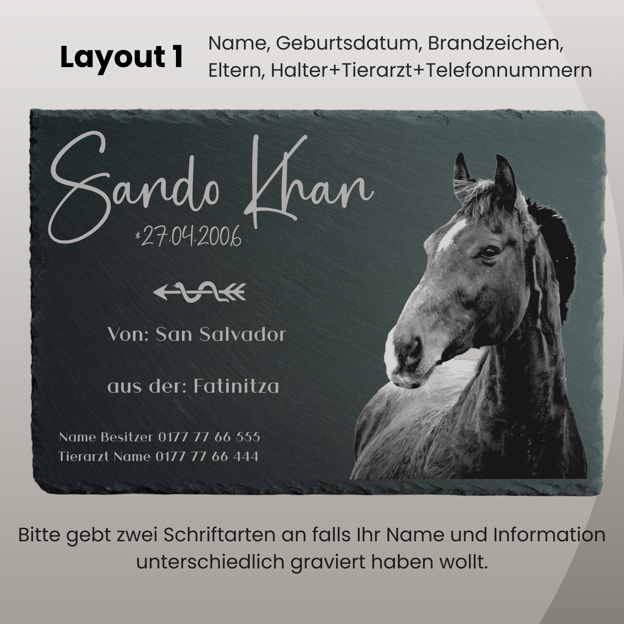 Boxentafel 30x20cm für Pferdestall mit Foto graviert auf Schiefer mit Herkunft