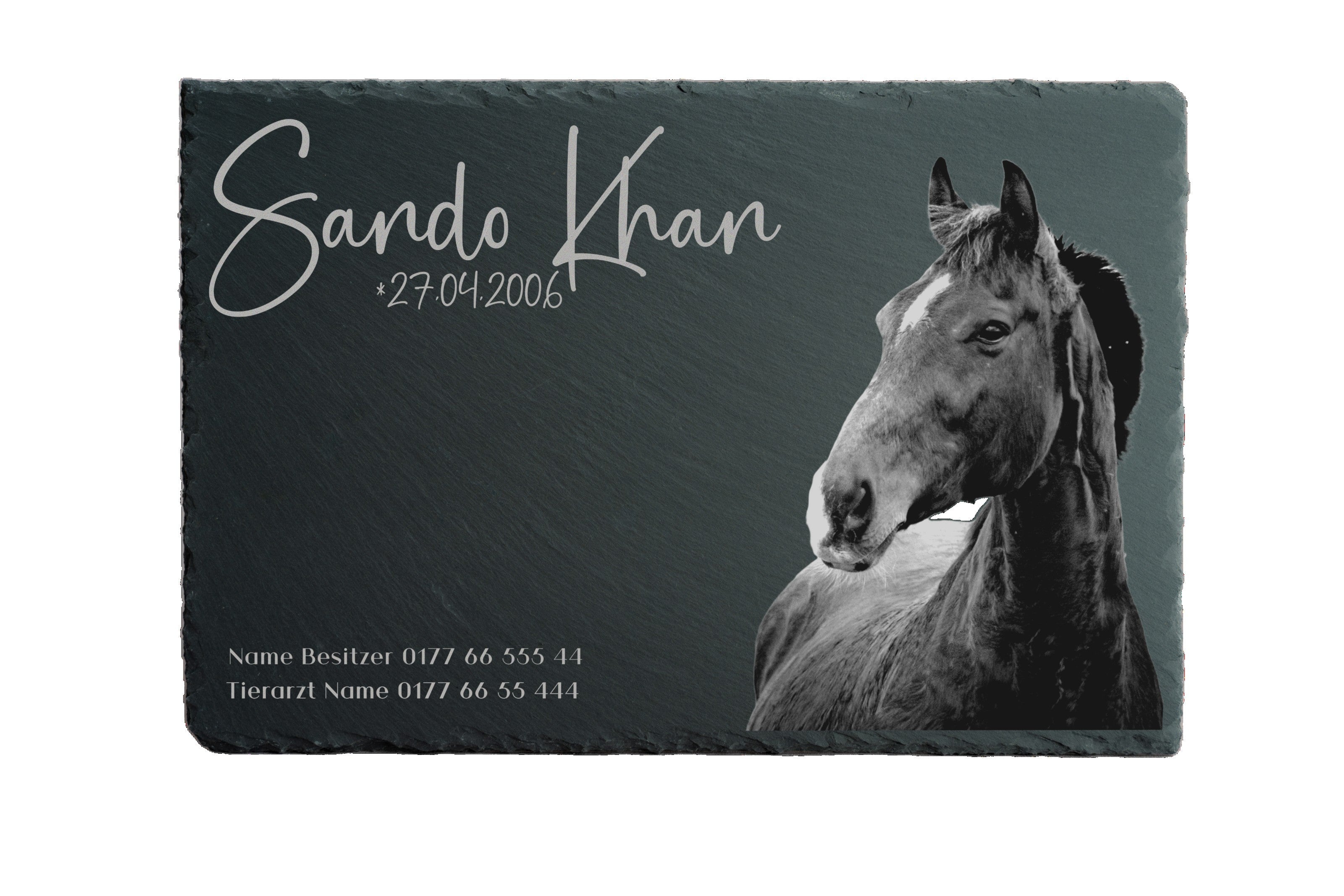 Boxentafel 30x20cm für Pferdestall mit Foto graviert auf Schiefer mit Platz für Informationen