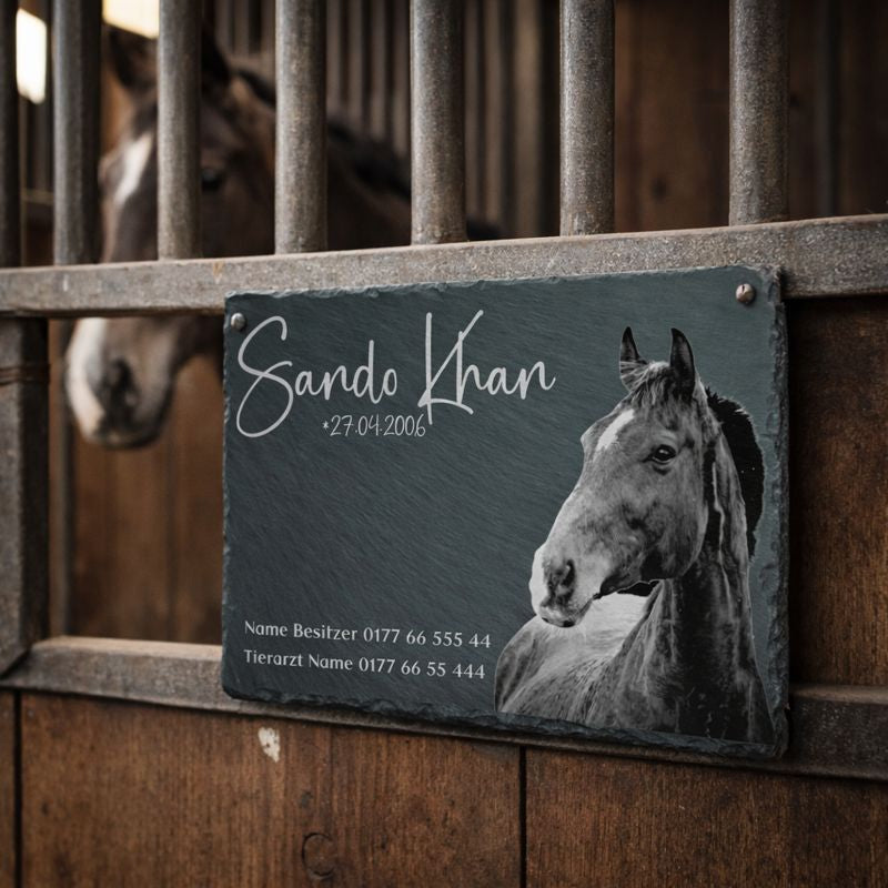 Boxentafel 30x20cm für Pferdestall mit Foto graviert auf Schiefer mit Platz für Informationen